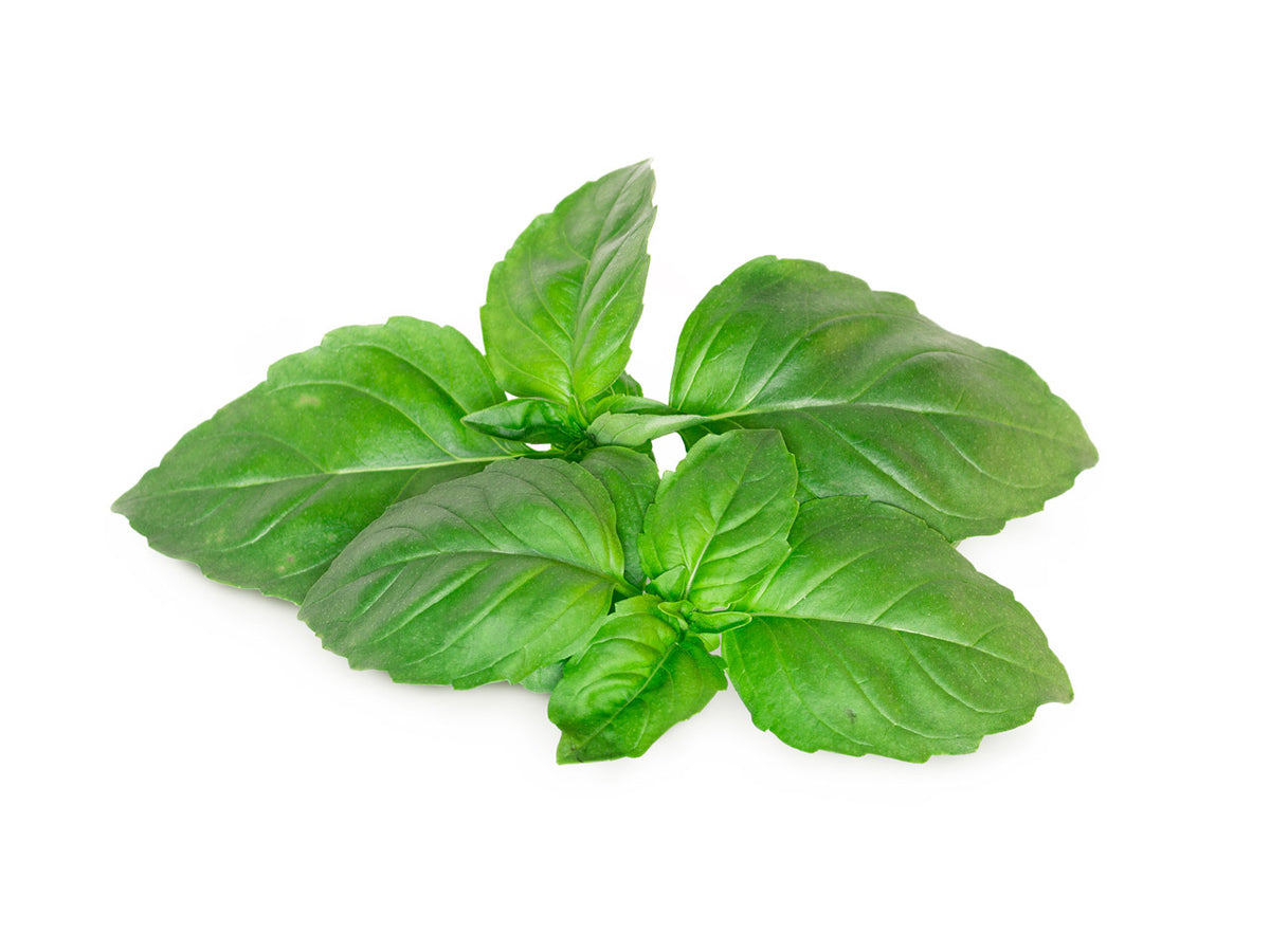 Marseille Basil Grow Smart Greens